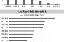 北向资金2024年四季度投资A股报告：科创板持续加仓，行业配置动态调整